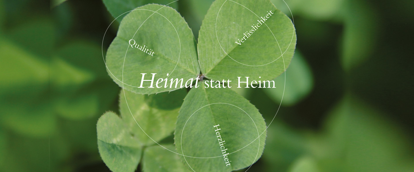 Foto eines Kleeblattes